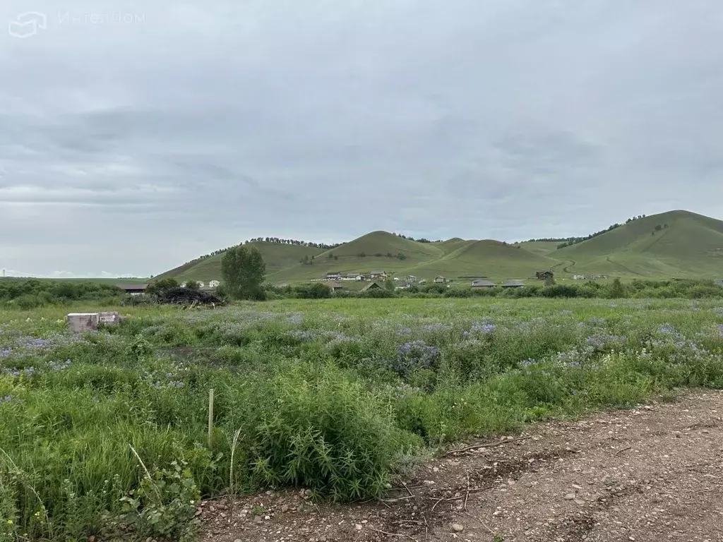 Участок в Красноярский край, Емельяновский район, Солонцовский ... - Фото 0