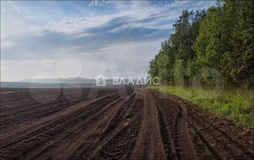 Участок 37,11 га (СНТ, ДНП) - Фото 0