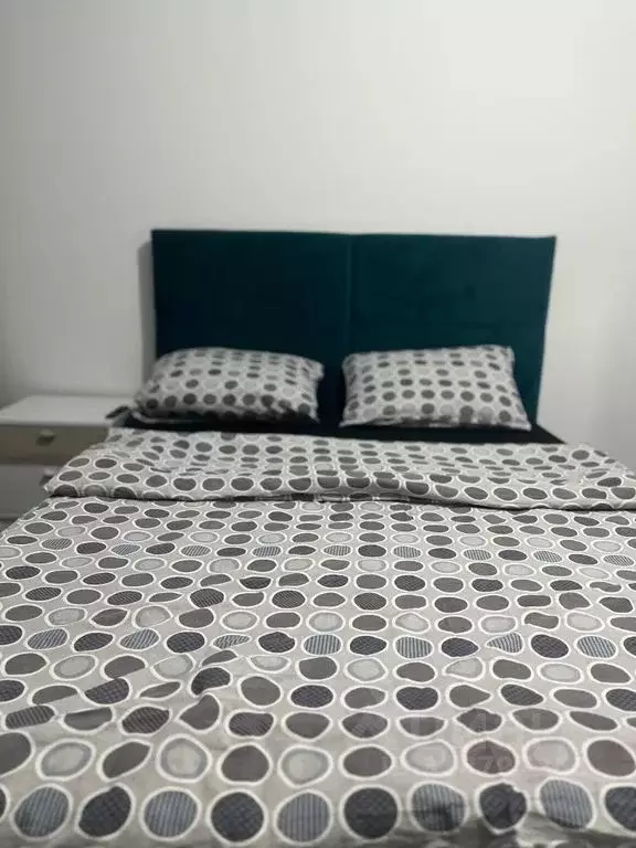Комната Санкт-Петербург ул. Струве, 10к1 - Фото 1