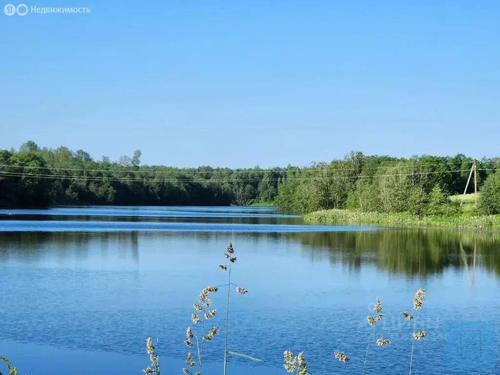 Участок в Московская область, городской округ Клин, деревня Спасское, ... - Фото 2