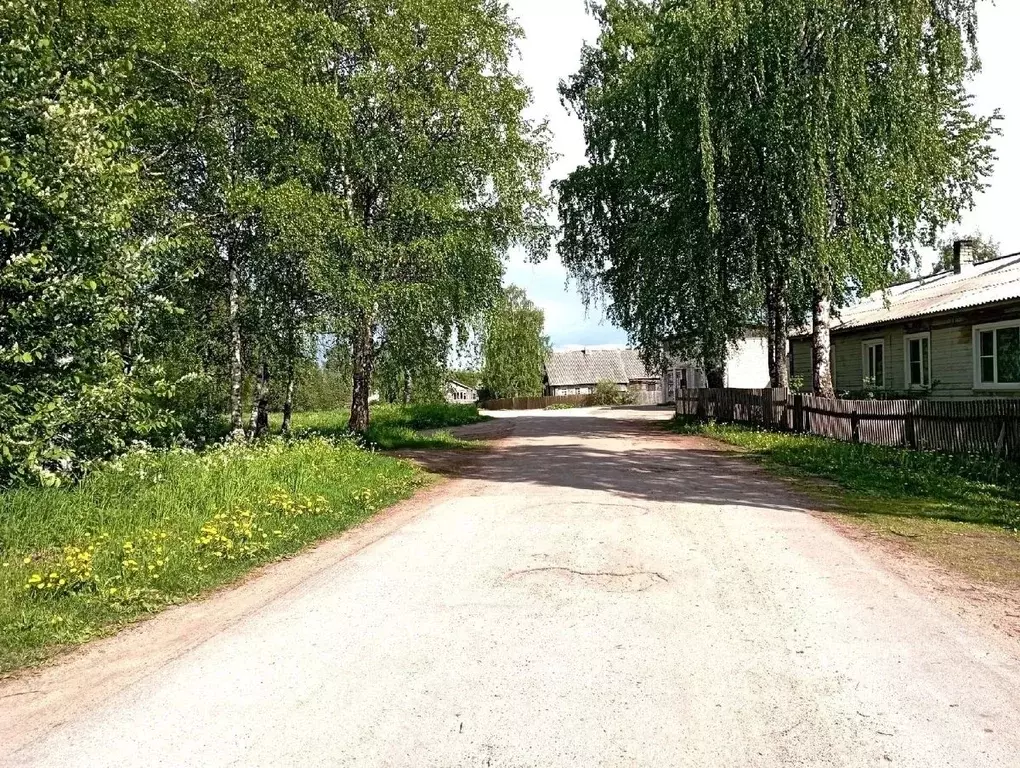 3-к кв. Карелия, Пудожский район, Авдеевское с/пос, д. Авдеево 95 ... - Фото 2