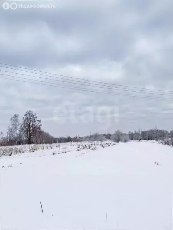 Участок в Ярославская область, Тутаевский муниципальный округ, деревня ... - Фото 1