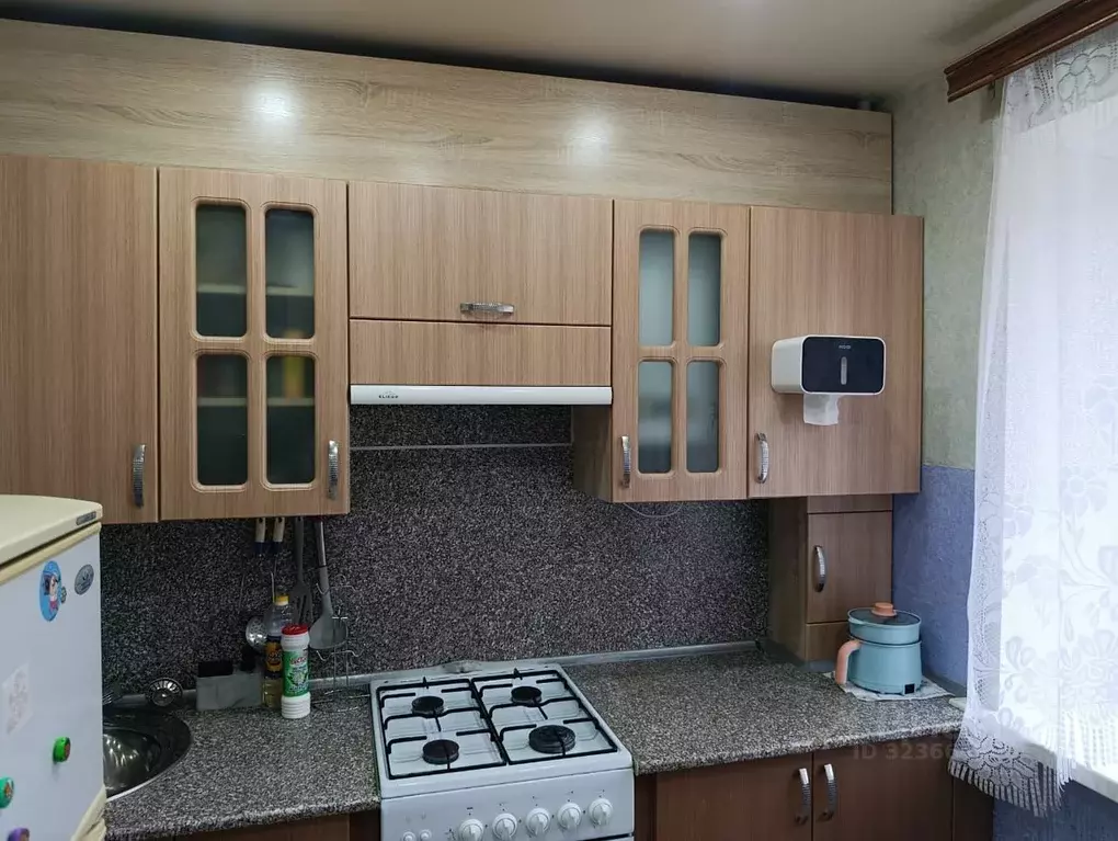 1-к кв. Псковская область, Великие Луки ул. Некрасова, 19 (30.0 м) - Фото 1