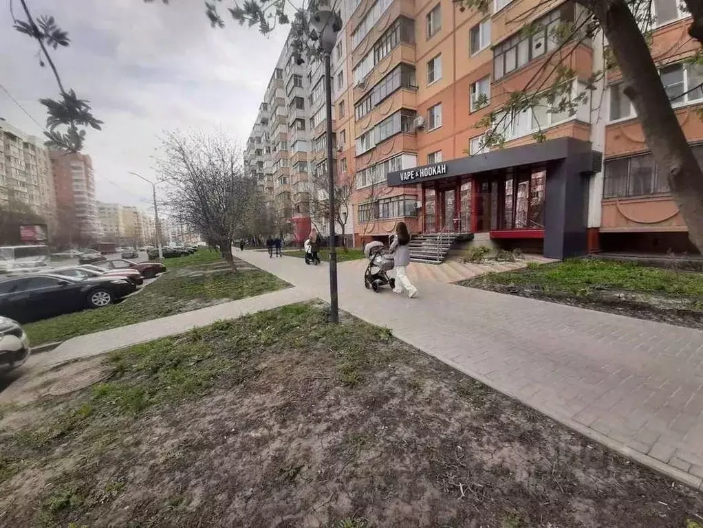 Торговая площадь в Белгородская область, Белгород ул. Буденного, 10 ... - Фото 2