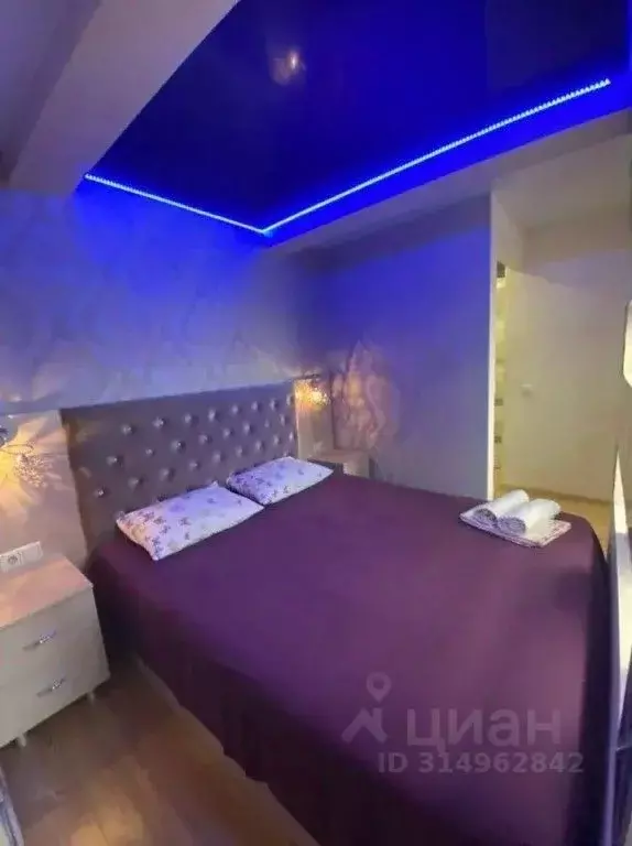 1-к кв. Башкортостан, Уфа ул. Ленина, 59 (42.0 м) - Фото 0