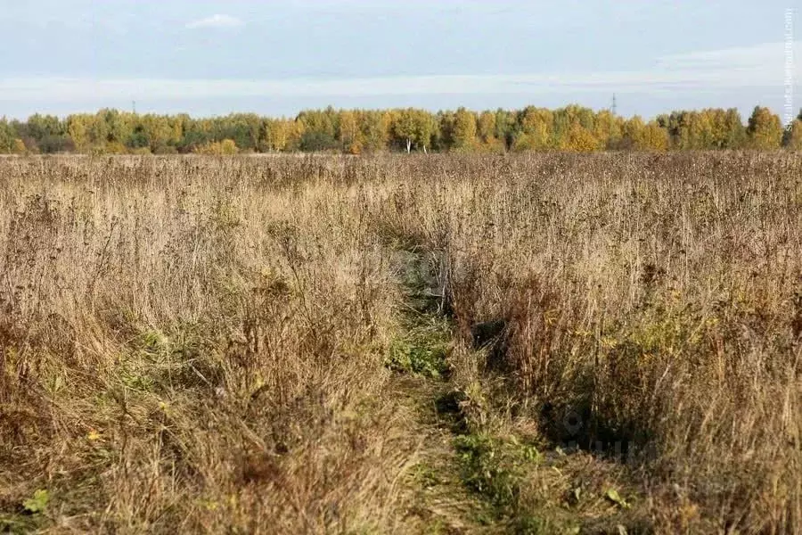 Участок в Алтайский край, Бийск ул. Александра Пушкина (6.2 сот.) - Фото 1