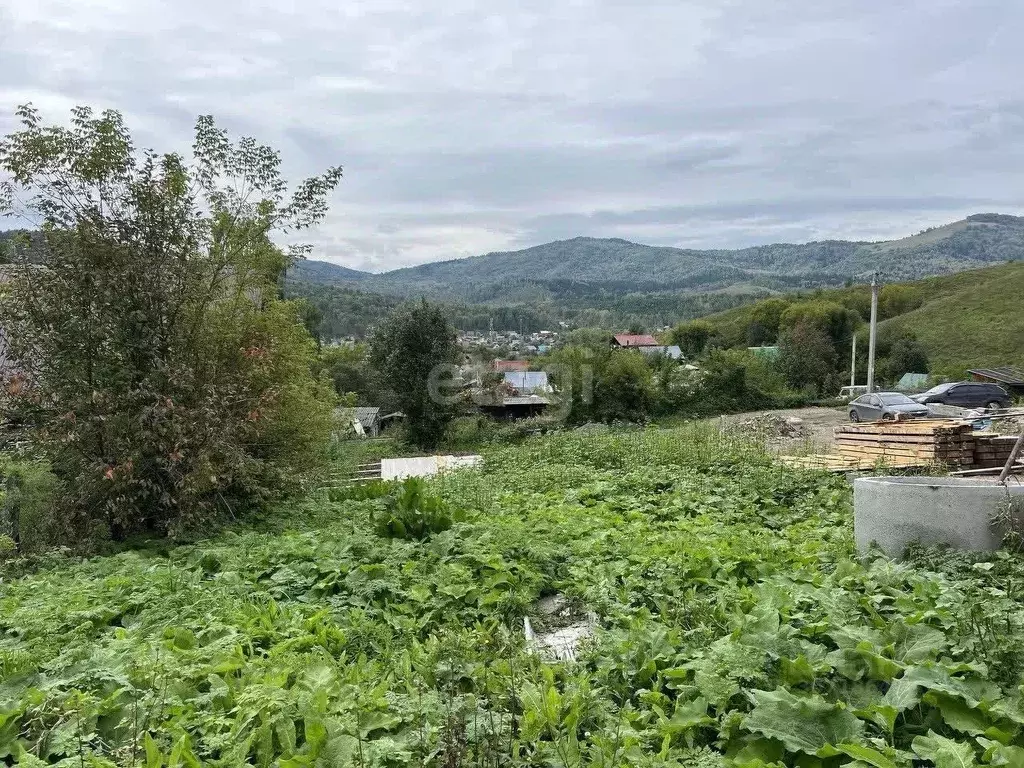 Участок в Алтай, Майминский район, с. Кызыл-Озек  (7.0 сот.) - Фото 0