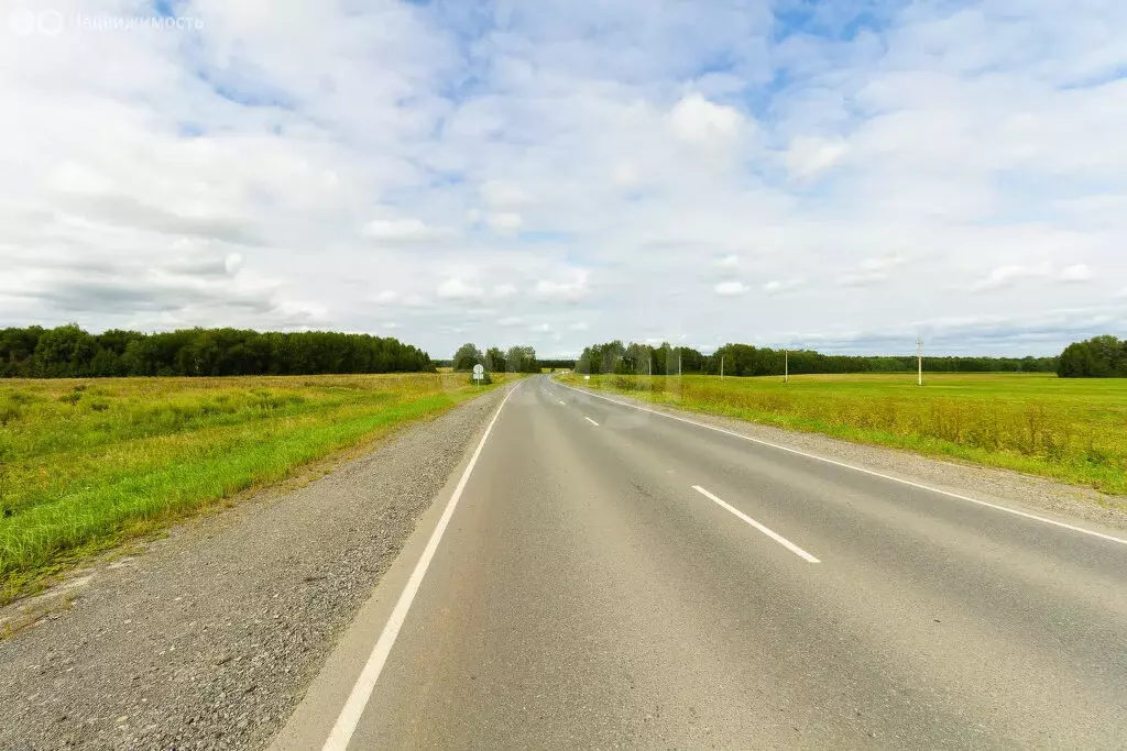 Участок в Тюменский муниципальный округ, деревня Насекина (600 м) - Фото 2