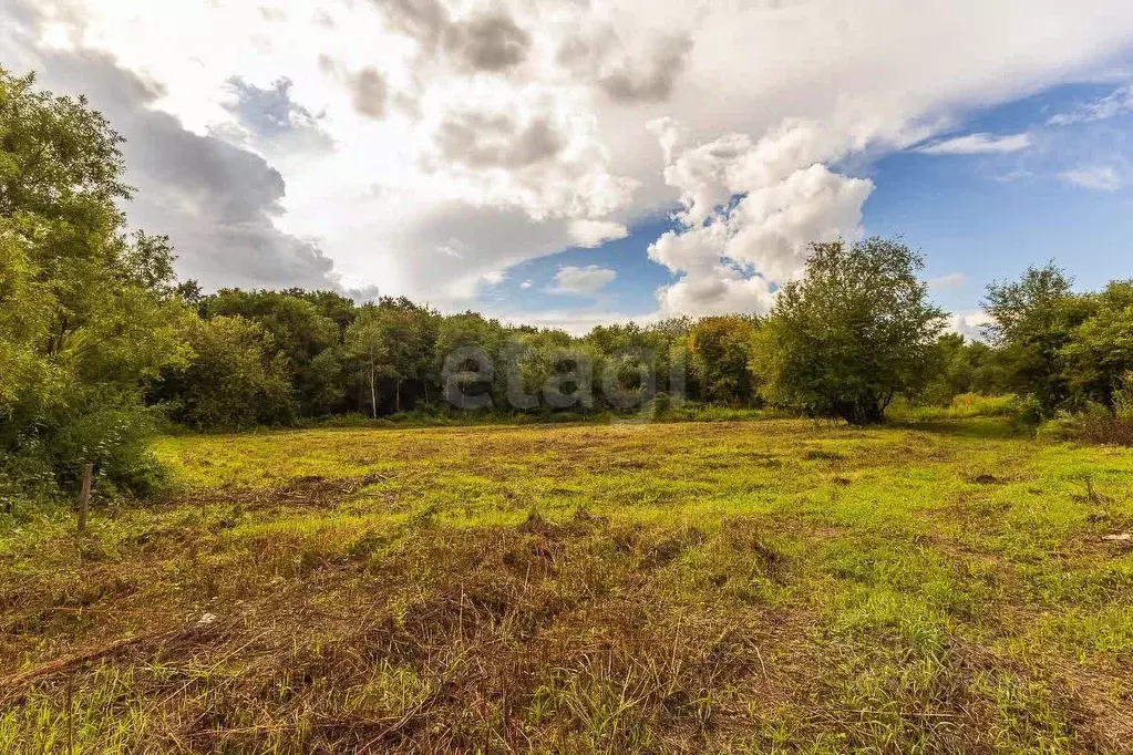 Участок в Амурская область, Благовещенский район, с. Усть-Ивановка ... - Фото 2