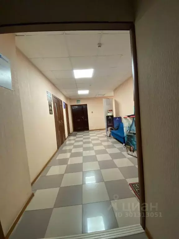 Помещение свободного назначения в Воронежская область, Воронеж ... - Фото 0