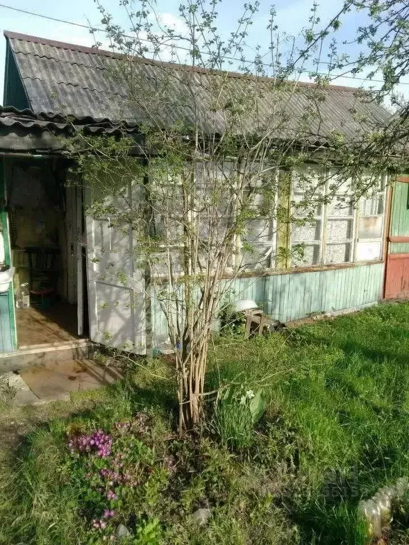 Участок в Ярославская область, Ярославский муниципальный округ, ... - Фото 1