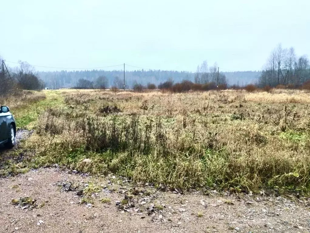 Участок в Ленинградская область, Выборгский район, Советское городское ... - Фото 2