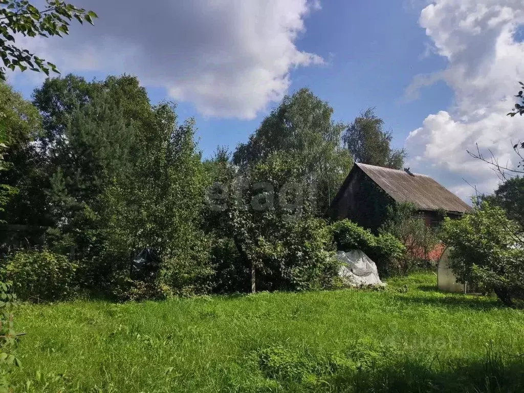 Участок в Калужская область, Жуковский муниципальный округ, Верховье ... - Фото 1