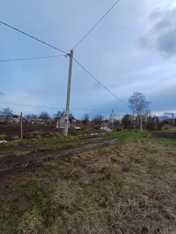 Участок в Владимирская область, Суздальский район, с. Новоалександрово ... - Фото 0