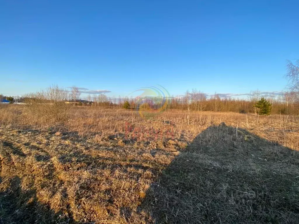 Панеево ивановская область. Село Панеево Ив.