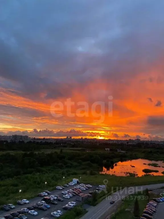 1-к кв. Ленинградская область, Кудрово г. Всеволожский район, ... - Фото 0