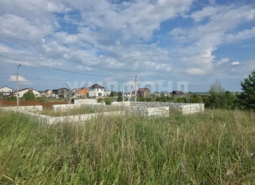 Участок в Алтайский край, Барнаул городской округ, пос. Научный ... - Фото 1