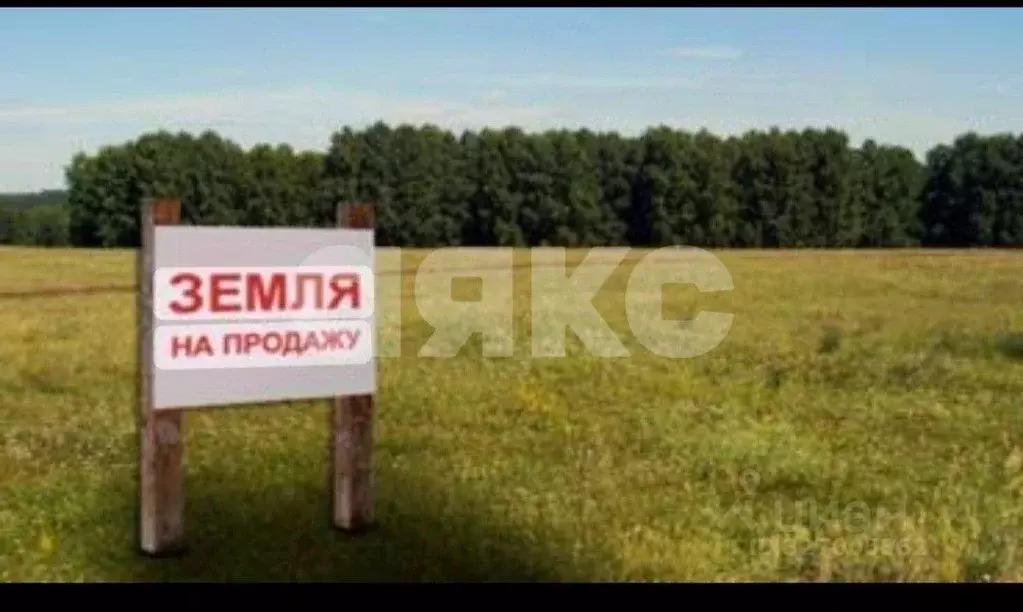 Участок в Краснодарский край, Мостовский район, Псебай пгт Березовая ... - Фото 1