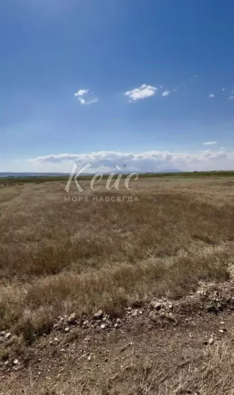Участок в Крым, Феодосия ул. Якорная (10.0 сот.) - Фото 2