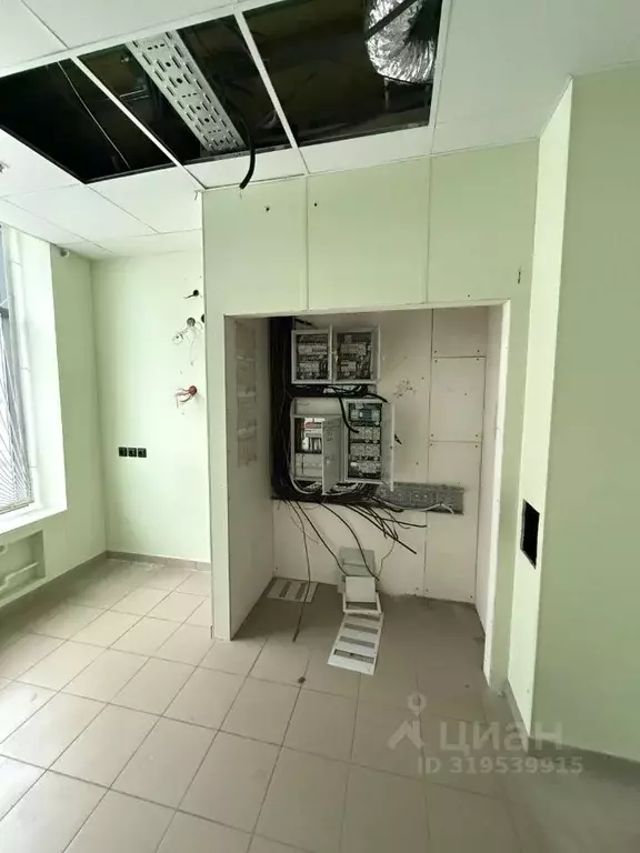 Торговая площадь в Москва Березовая аллея, 19к3 (240 м) - Фото 1