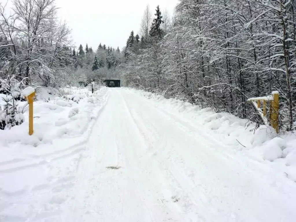 Участок в Вологодская область, Вологда Медик садоводческое ... - Фото 1