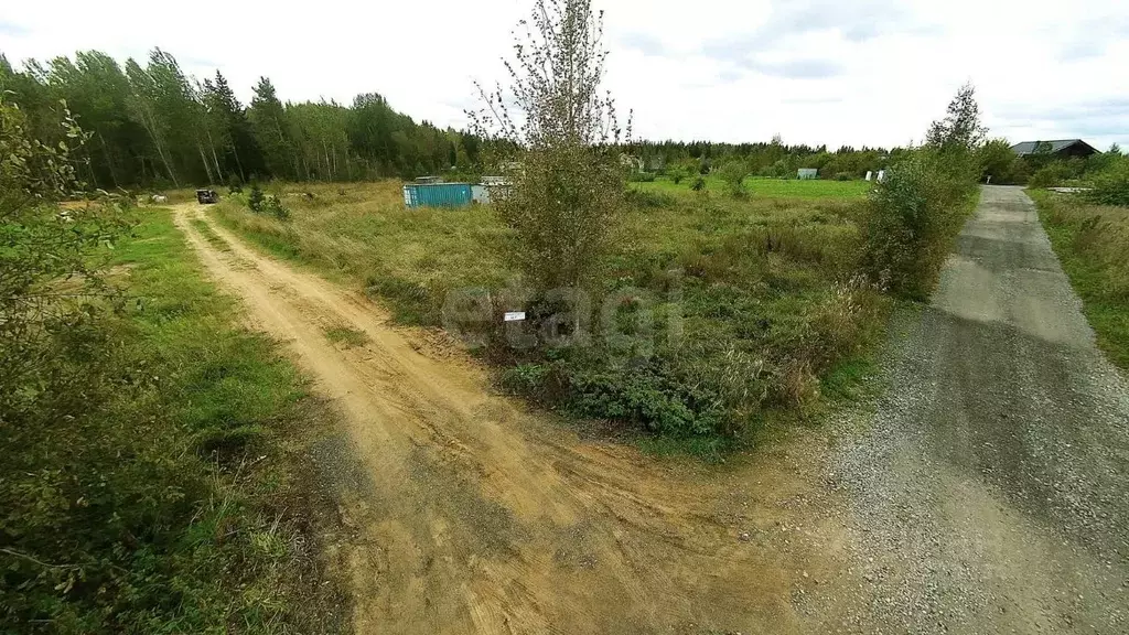 Участок в Ленинградская область, Кингисеппский район, Нежновское ... - Фото 2