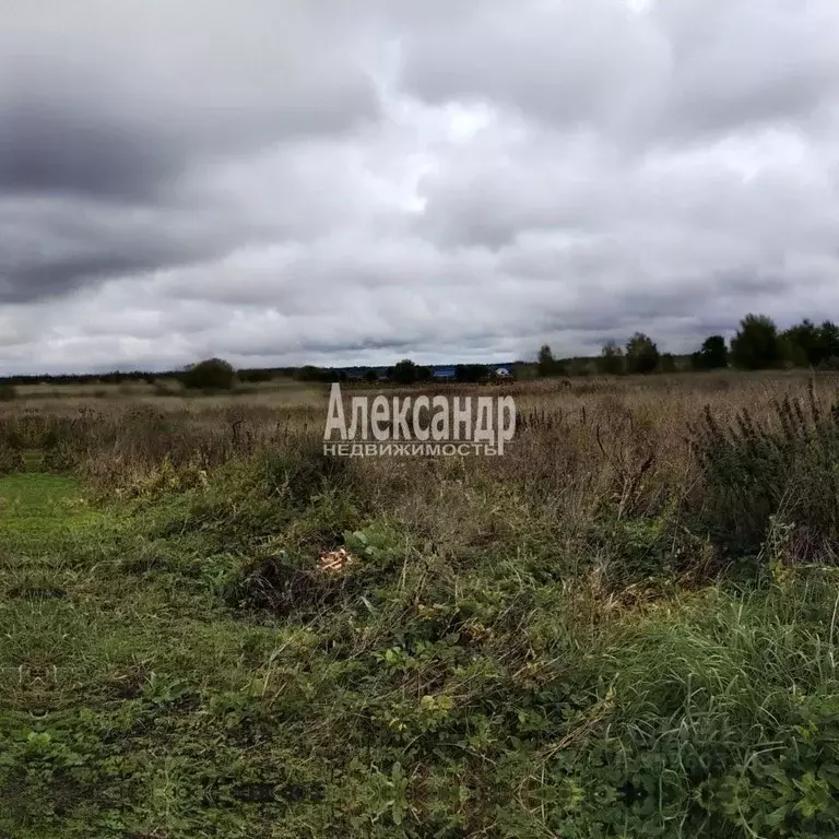 Участок в Ленинградская область, Волосовский район, д. Клопицы 103 ... - Фото 1