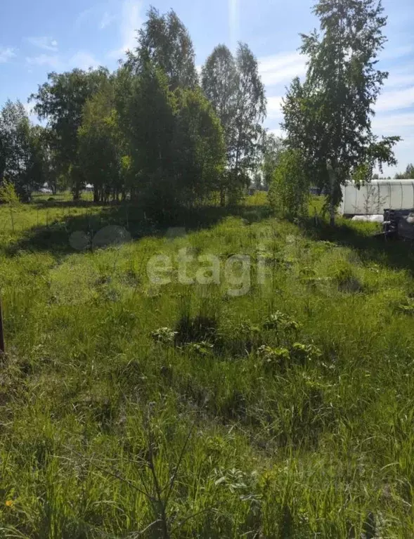 Участок в Новосибирская область, Новосибирский район, Кудряшовский ... - Фото 1