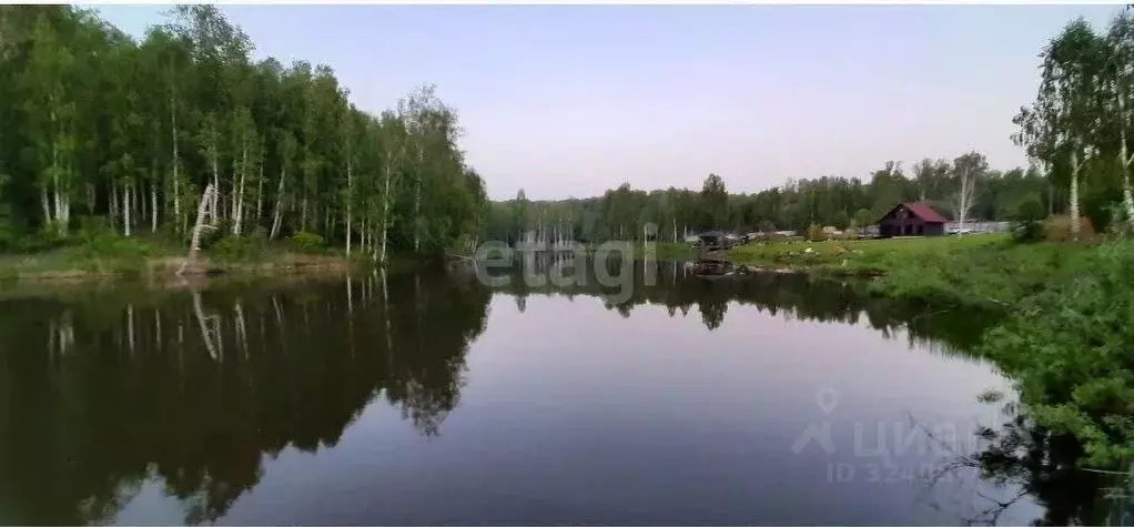 Участок в Новосибирская область, Искитимский район, Морозовский ... - Фото 1