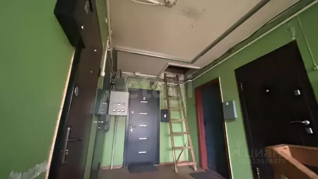 1-к кв. Псковская область, Печоры ул. Свободы, 21 (30.0 м) - Фото 2