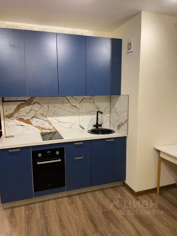 Студия Санкт-Петербург пос. Парголово, проезд Толубеевский, 26к1 (26.5 ... - Фото 1