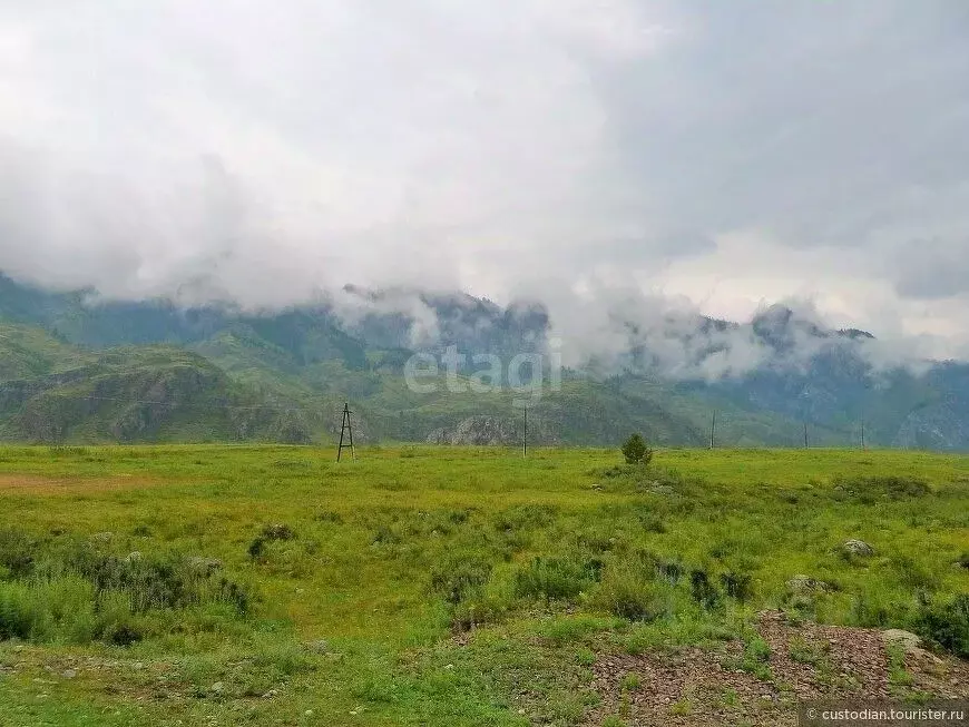 Участок в Алтай, Чемальский район, с. Еланда Новая ул. (995.2 сот.) - Фото 1