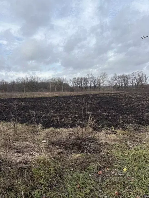 Участок в Белгородская область, Ивнянский район, Покровское с/пос, с. ... - Фото 1