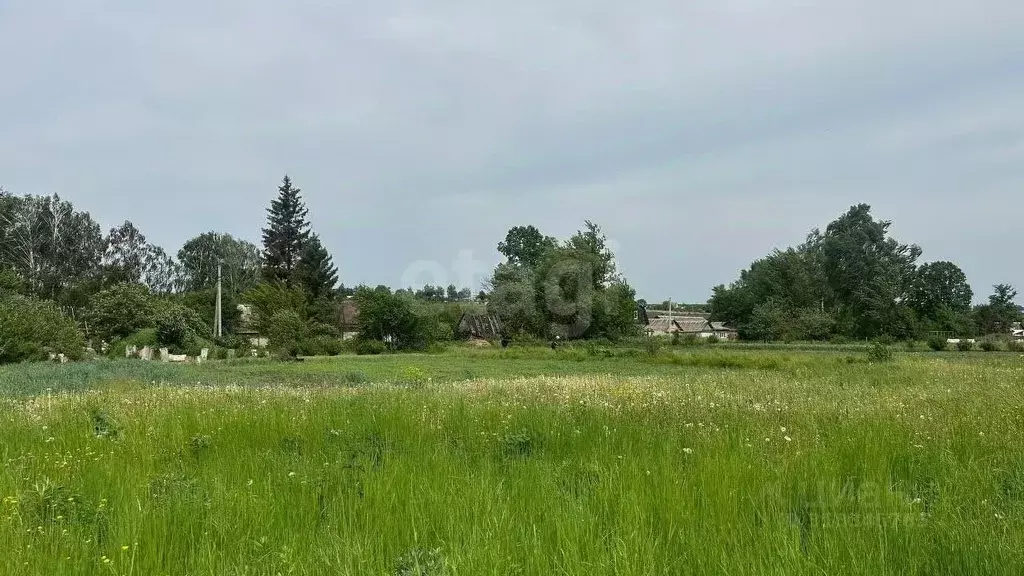 Дом в Орловская область, Орловский район, д. Жуковка Раздольная ул., ... - Фото 1