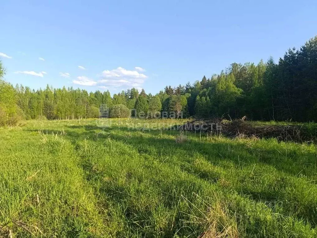Участок в Новгородская область, Новгородский район, Бронницкое с/пос, ... - Фото 1