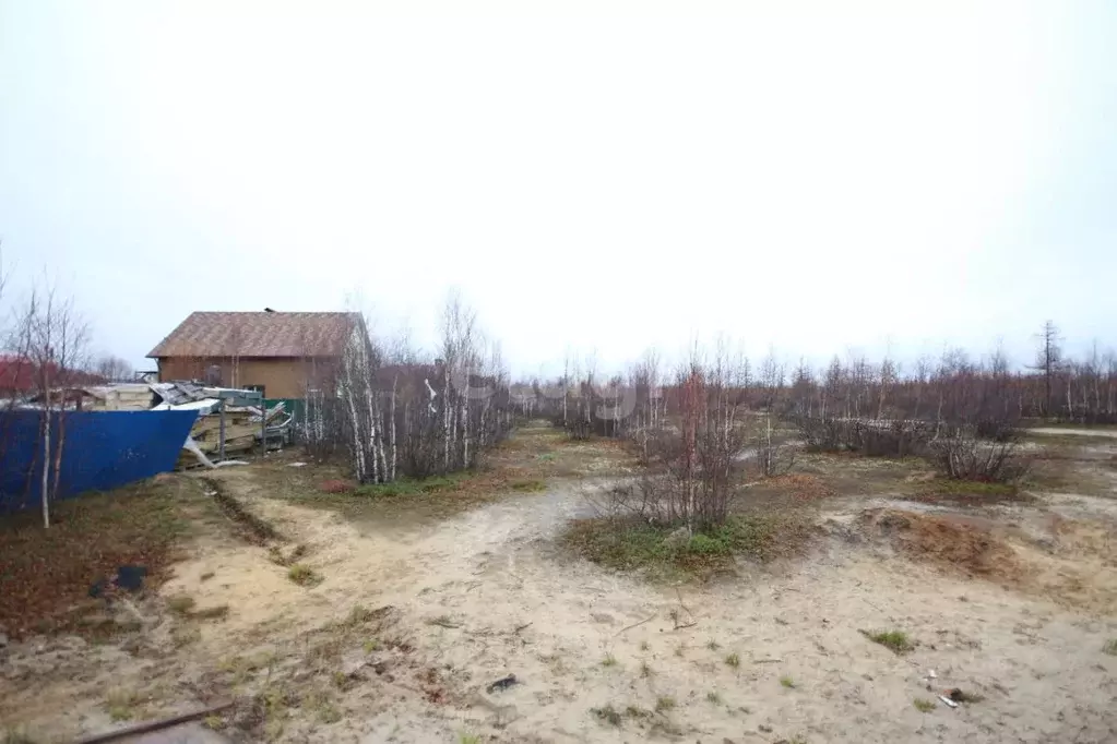 Участок в Ямало-Ненецкий АО, Новый Уренгой ДНТ заимка,  (4.6 сот.) - Фото 1