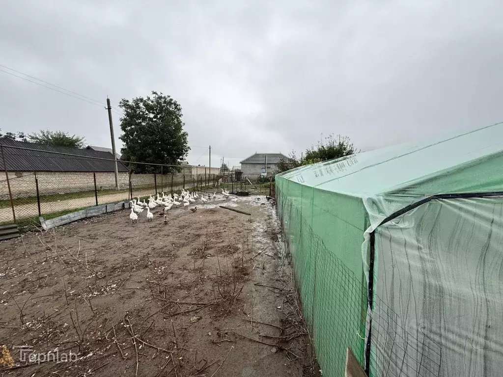 Участок в Кабардино-Балкария, Чегемский район, с. Нартан ул. Пачева, ... - Фото 1