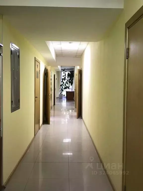 Офис в Иркутская область, Иркутск Киевская ул., 9А (22 м) - Фото 2