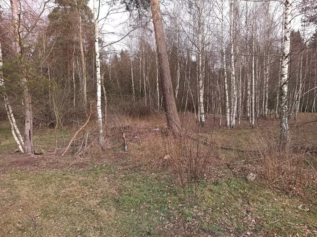 Участок в Московская область, Орехово-Зуевский городской округ, пос. ... - Фото 0