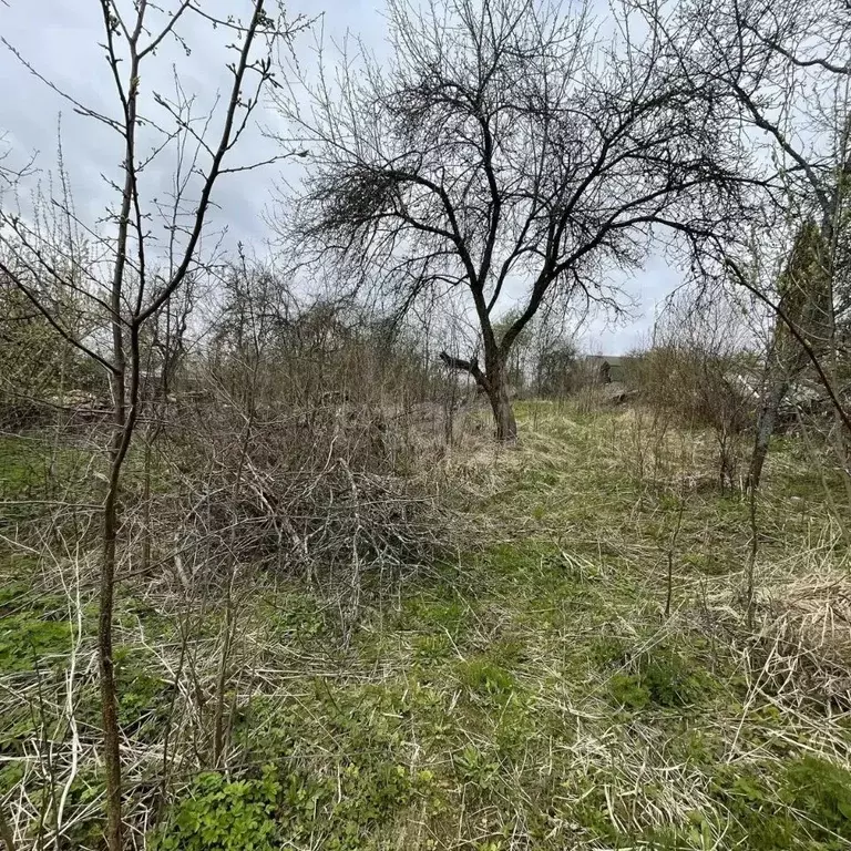 Участок в Смоленская область, Смоленск Тюльпан СТ, 72 (207.0 сот.) - Фото 1