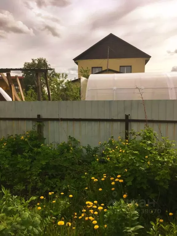 Участок в Омская область, Омск СНТ Ромашка ТСН, аллея 13-я, 25 (4.92 ... - Фото 1