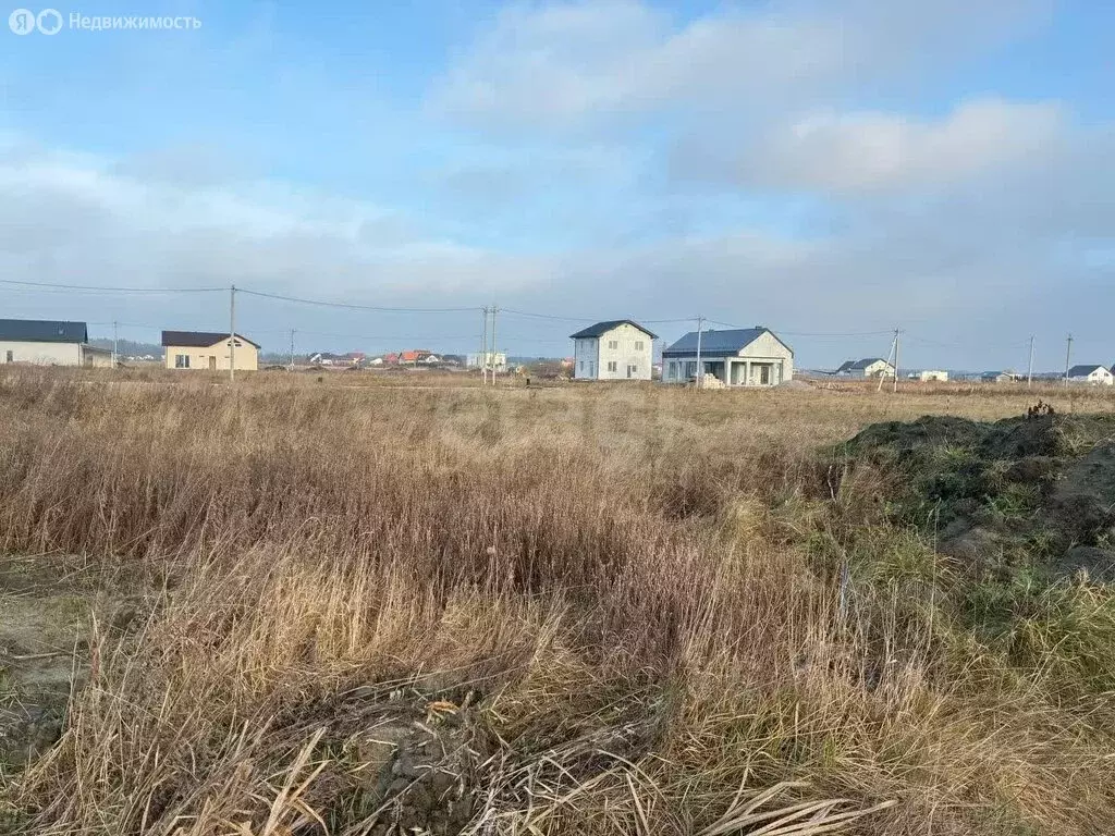 Участок в Калининградская область, Зеленоградский муниципальный округ, ... - Фото 1