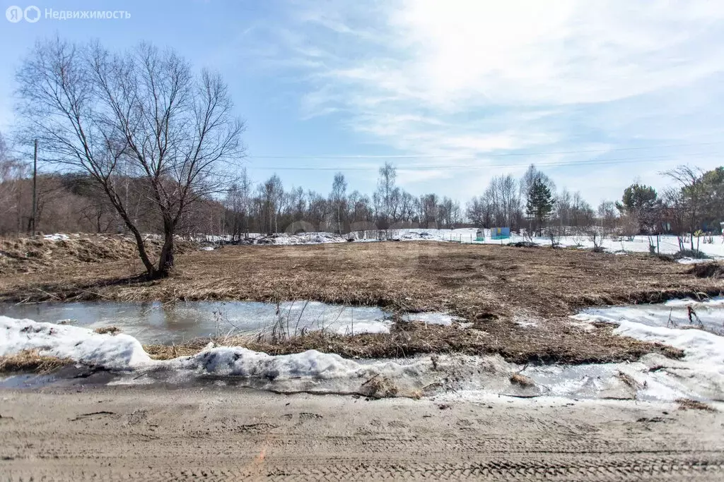 Участок в Тюменская область, Тобольский муниципальный округ, СНТ ... - Фото 2