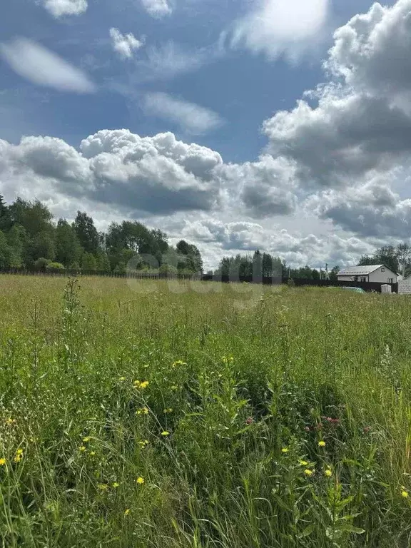 Участок в Московская область, Клин городской округ, Акатово парк кп  ... - Фото 1