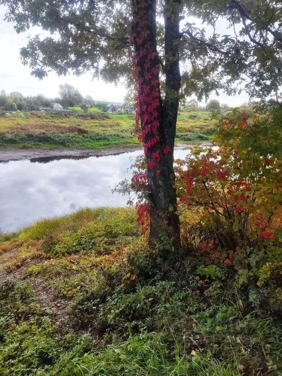 Участок в Новгородская область, Новгородский район, Борковское с/пос, ... - Фото 0