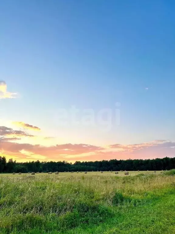 Участок в Калужская область, Боровский муниципальный округ, д. ... - Фото 2