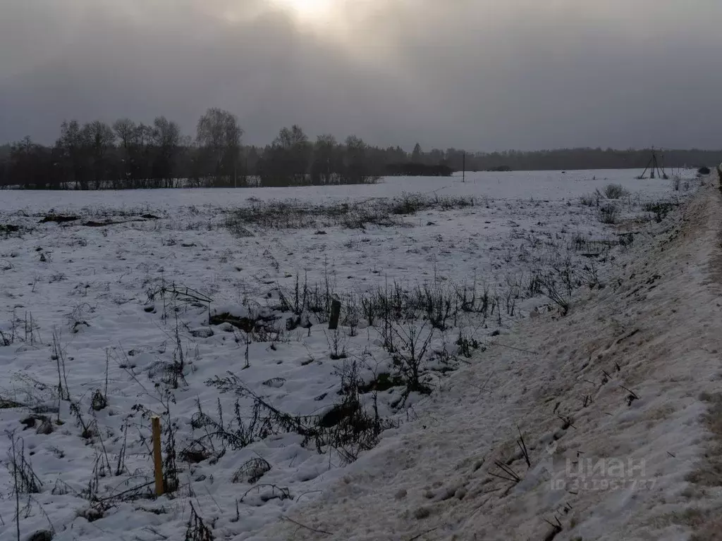 Участок в Московская область, Шаховская городской округ, с. Белая ... - Фото 0