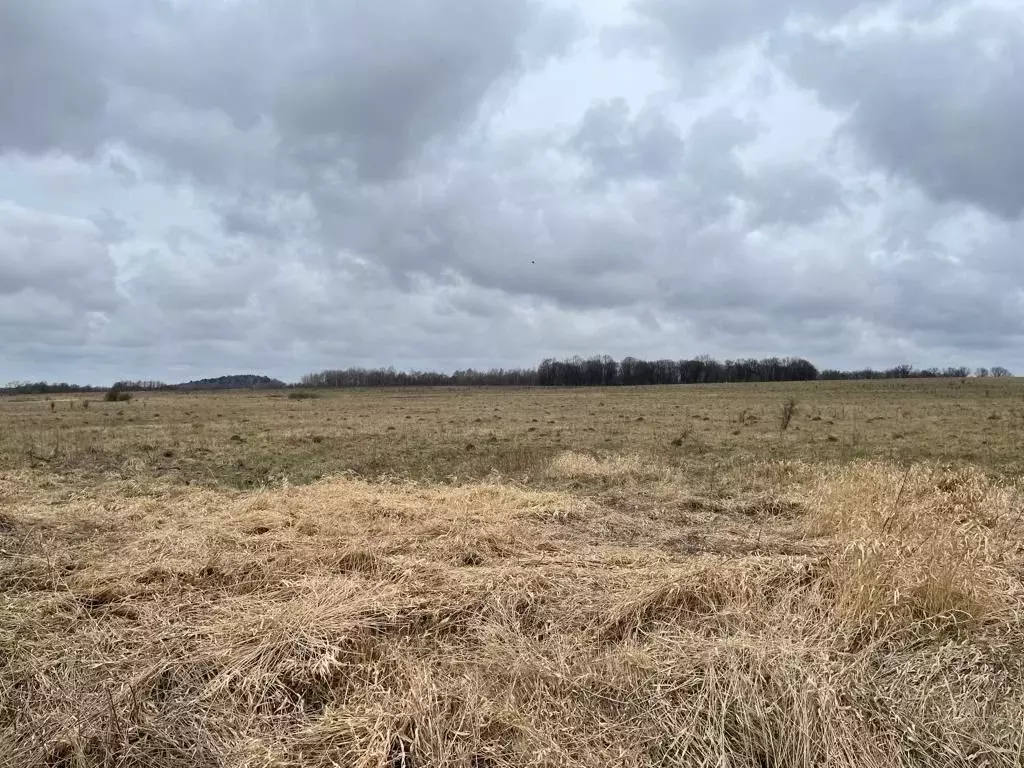 Участок в Калининградская область, Зеленоградский муниципальный округ, ... - Фото 1