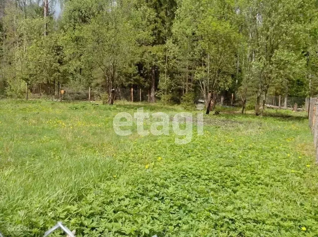 Участок в Кемеровская область, Кемеровский район, с. Силино Нагорная ... - Фото 1