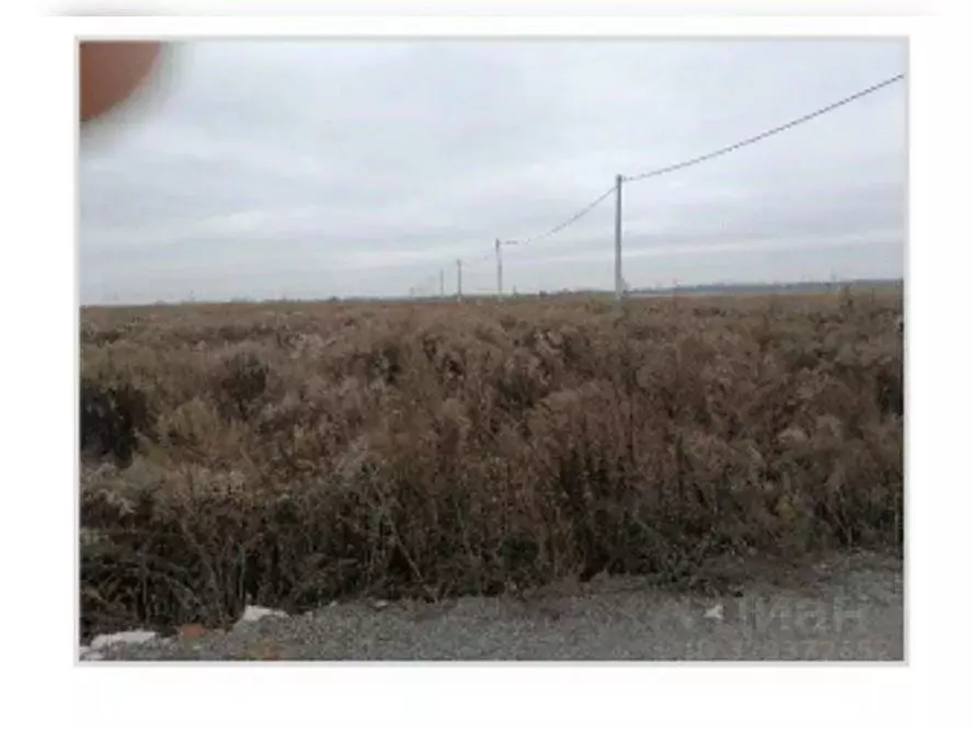 Участок в Московская область, Воскресенск ул. Конная (10.26 сот.) - Фото 1